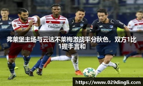 弗莱堡主场与云达不莱梅激战平分秋色，双方1比1握手言和